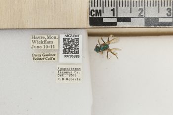Media type: image;   Entomology 795385 Aspect: Labels